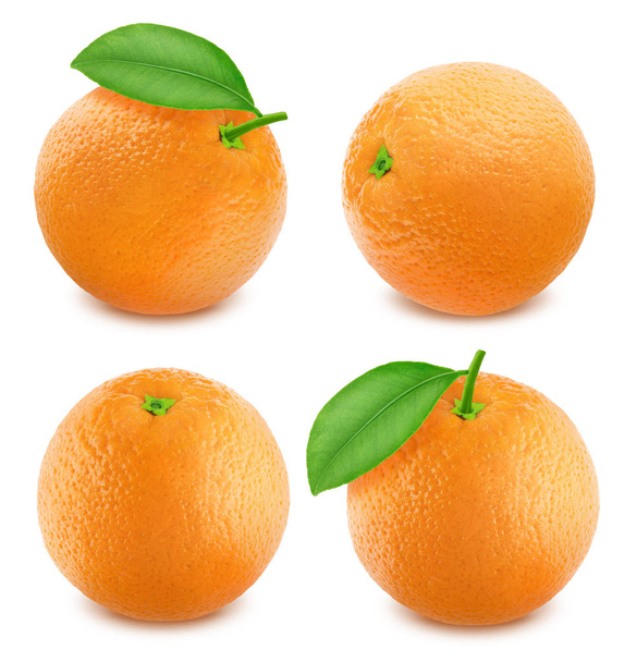 Oranges set isolated on white background - Photo, Image