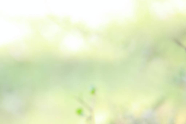 lente natuurlijke achtergrond - Foto, afbeelding