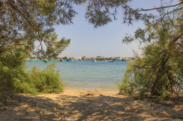 In the background Porto Cesareo town seen from the Big Island (or Isola Grande) Nature Reserve. - Photo, Image