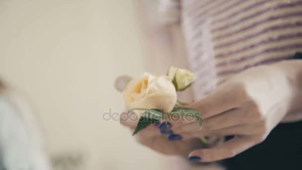 White rose in the hands of a florist. Creating a floral composition - Кадры, видео