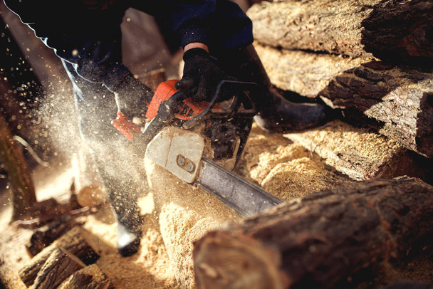 людина ріже деревину бензопилою
 - Фото, зображення