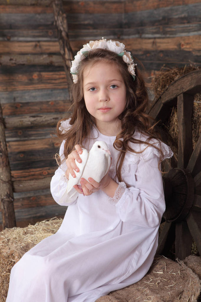 girl in a wreath holding in his hand a live white dove - Foto, Bild
