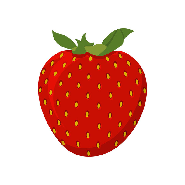 Erdbeer-Vektorillustration - Vektor, Bild