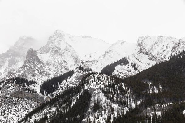 Les montagnes Rocheuses en hiver
 - Photo, image