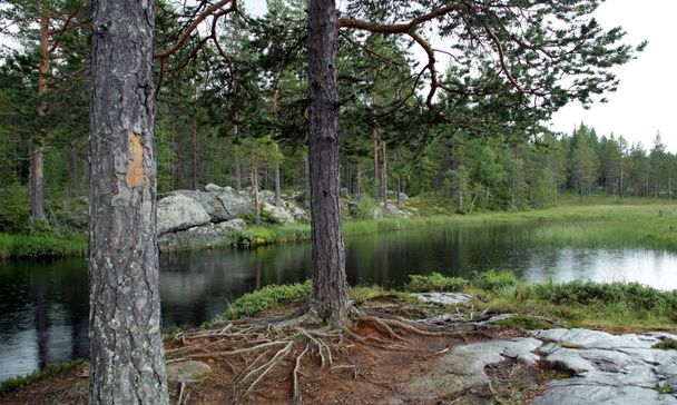 Norveçli bir manzara farklı renkler - Fotoğraf, Görsel