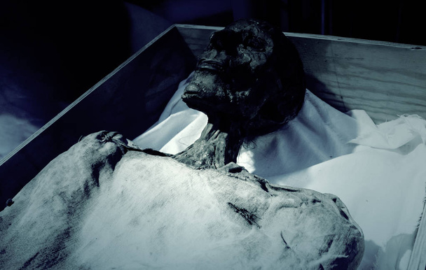 Lichaam van oude mummie - Foto, afbeelding