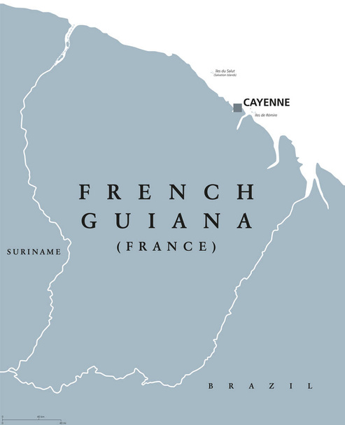 Mappa politica della Guiana francese
 - Vettoriali, immagini