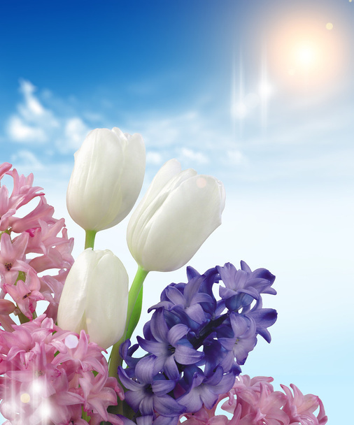 Voorjaarsbloemen - Foto, afbeelding