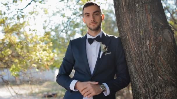 Portrait of the groom.Young man outdoor. - Footage, Video
