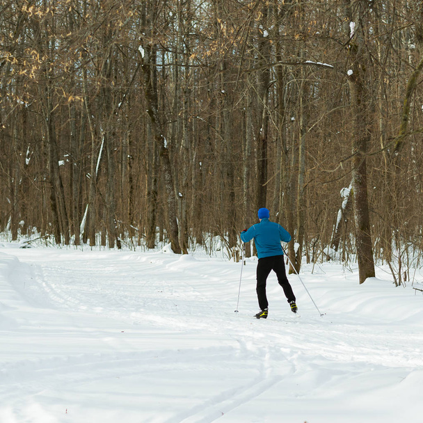 Belle forêt d'hiver et skieur en costume bleu
. - Photo, image