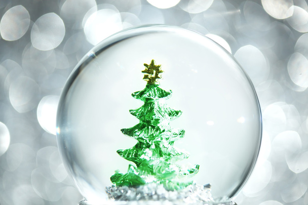 Snow globe with Christmas tree - Фото, зображення