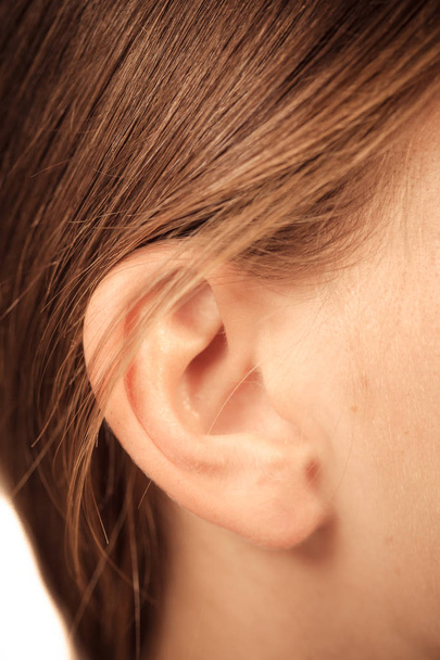 Close up on female ear - Photo, Image