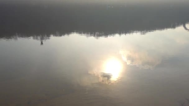 Reflectie in de rivier van de zon - Video
