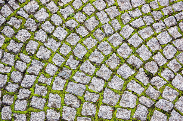 Pavimento de paralelepípedos coberto de musgo
 - Foto, Imagem