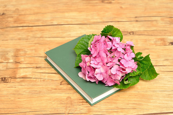 Розовая гортензия на вершине зеленой книги
 - Фото, изображение