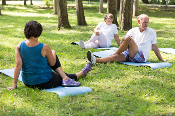 Happy seniors working out in a park - Foto, Imagem