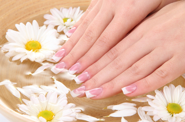 Woman hands with french manicure and flowers in bamboo bowl with water - Photo, Image