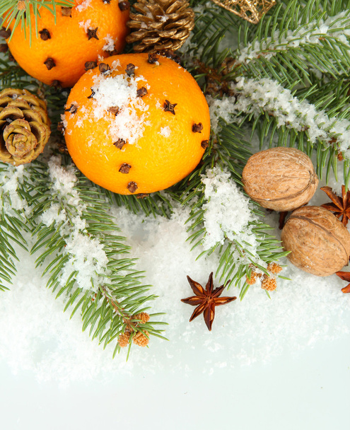 christmas composition with oranges and fir tree, isolated on white - Foto, Imagem