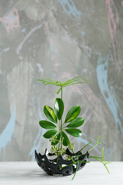 Fresh green Plant arrangement  - Foto, Bild