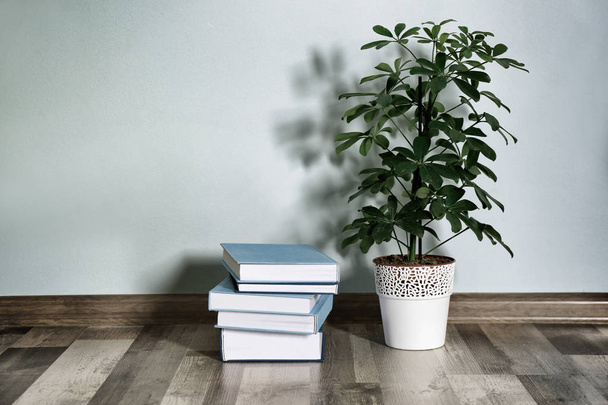 Pile of books and houseplant  - 写真・画像