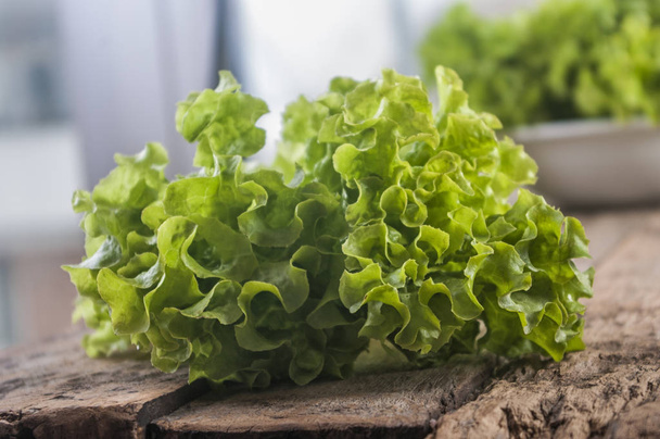 Vihreät salaatinlehdet. Salaatin lehdet puupohjalla. Tuoretta salaattia keittiön pöydällä. Terveelliset luonnonmukaiset elintarvikkeet
. - Valokuva, kuva