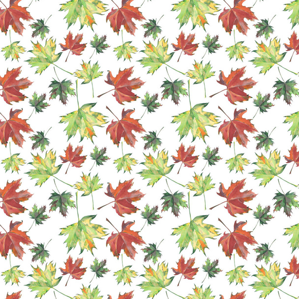 Bright beautiful lovely herbal autumn floral green yellow red brown leaves autumn maple and pattern watercolor hand sketch - Foto, Imagem