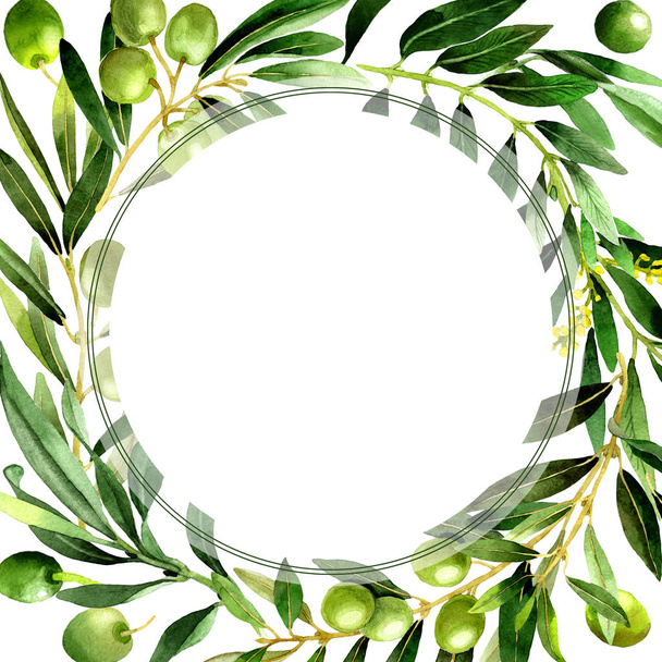 Olive tree frame in a watercolor style isolated. - 写真・画像