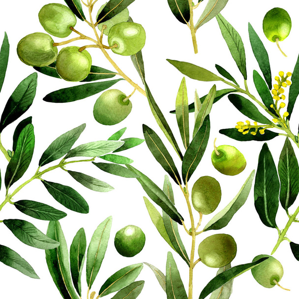 Olive tree pattern in a watercolor style isolated. - Foto, Imagem