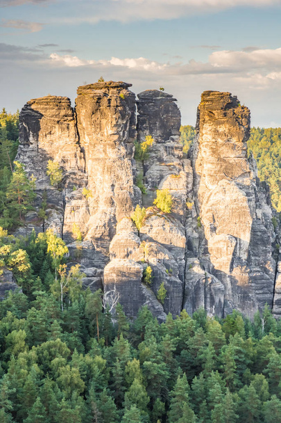 Rocks in the Elbe Sandstone Mountains - Foto, immagini