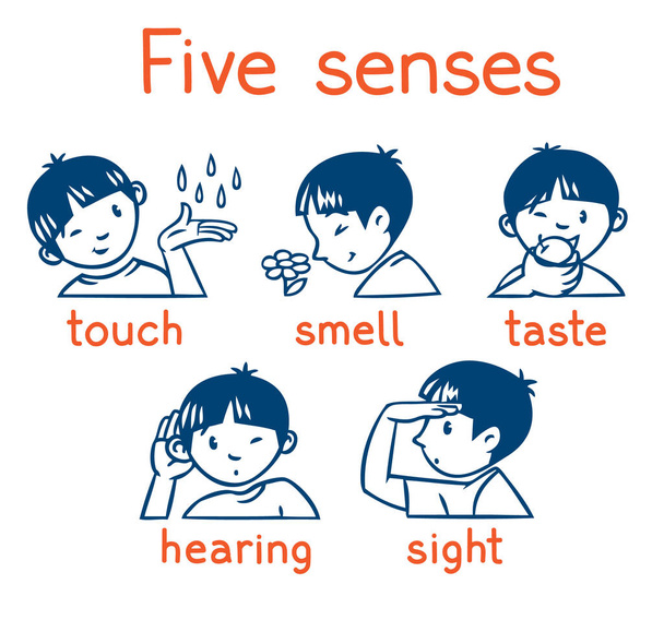 Five senses Free Stock Vectors