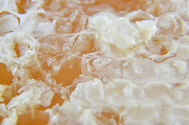 Macro da superfície do favo de mel
 - Foto, Imagem