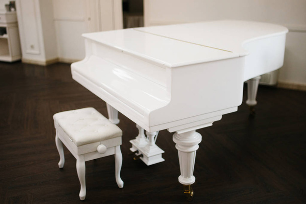 white grand piano standing in elegant white interior of palace hall - Photo, Image