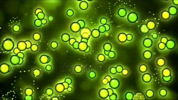 Renkli haşhaş yuvar animasyon - döngü Yeşil Sarı - Video, Çekim