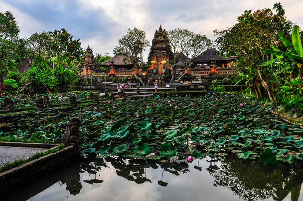 Lotus Pond in Saraswati Temple in Ubud, Bali - 写真・画像