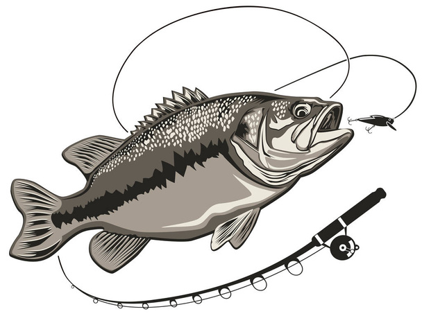Illustration Vector T Shirt Bass Fishing Stock Vector (Royalty Free)  2139055353