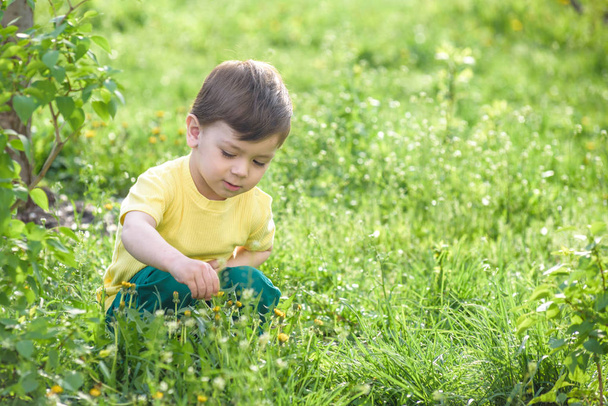 Счастливый маленький мальчик с карими глазами, сидящий на траве ромашки цветы в парке
 - Фото, изображение