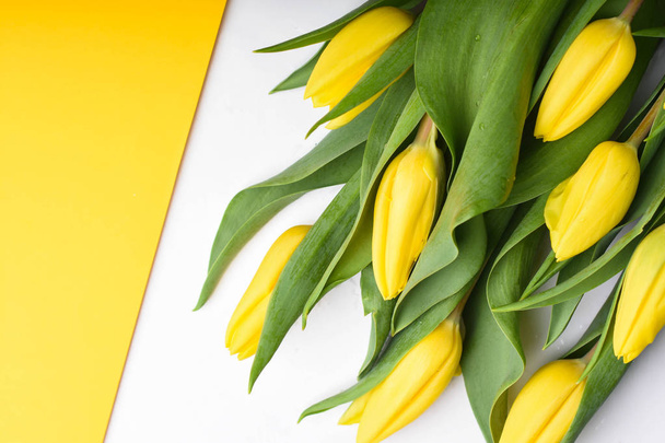 Spring Background. Bouquet Of Yellow Tulips On White - Photo, Image