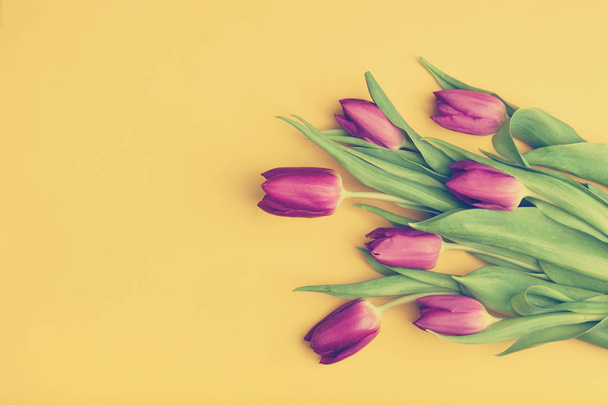 Bouquet of tulips on yellow background - Foto, Bild