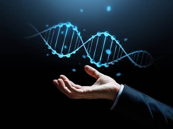 close up of businessman hand with dna molecule - 写真・画像