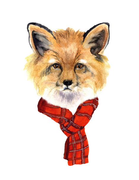 Akvarell csípő fox. Kreatív állatok matrica. Akvarell címke vázlat - Fotó, kép