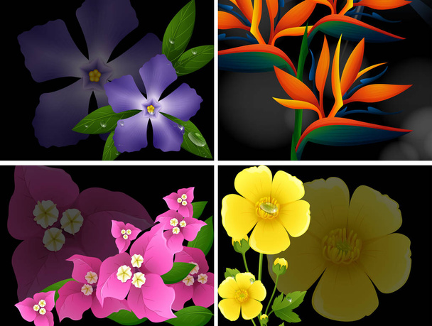 Quattro diversi tipi di fiori su sfondo nero
 - Vettoriali, immagini
