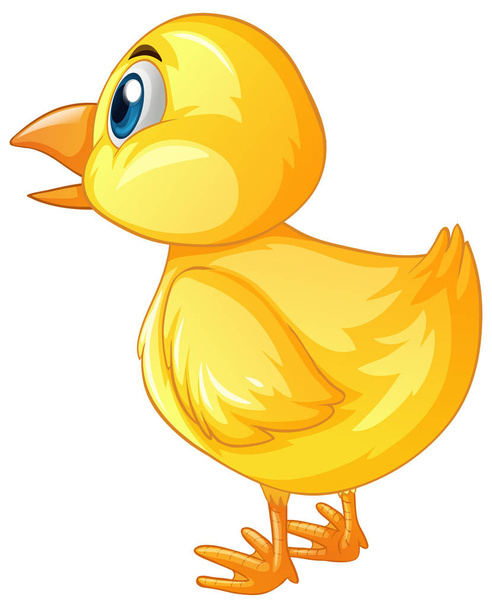 Back of little chick - Vector, Image