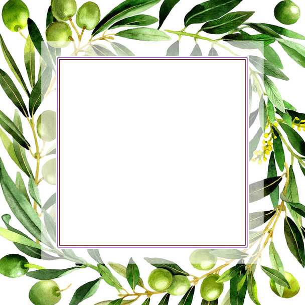Olive tree frame in a watercolor style isolated. - Foto, Imagem