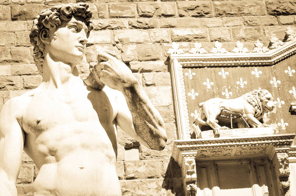 Estatua de David en Florencia
  - Foto, imagen
