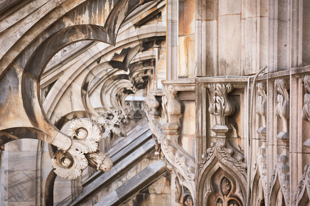 Detail of gothic cathedral of Milan. Italy - 写真・画像