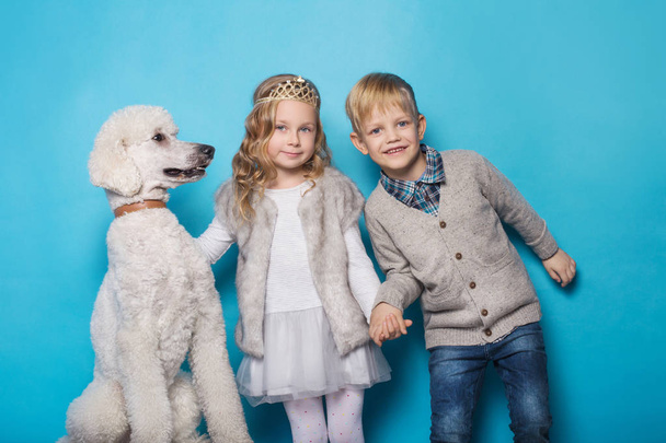 Little princess and handsome boy with Royal poodle. Love. Friendship. Family. Studio portrait over blue background - Foto, imagen