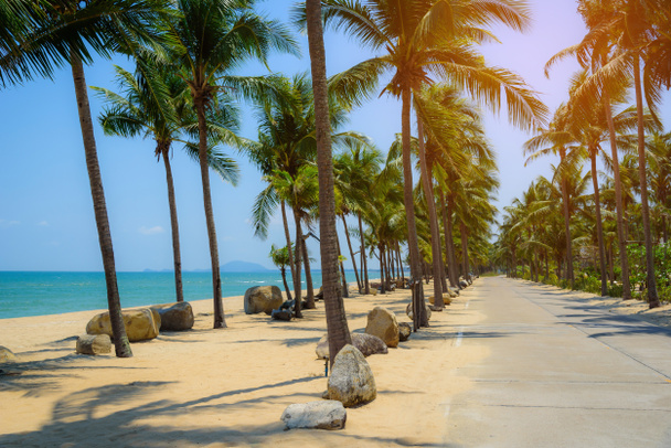Kókusz Pálma fa nappali trópusi tengerparton. - Fotó, kép