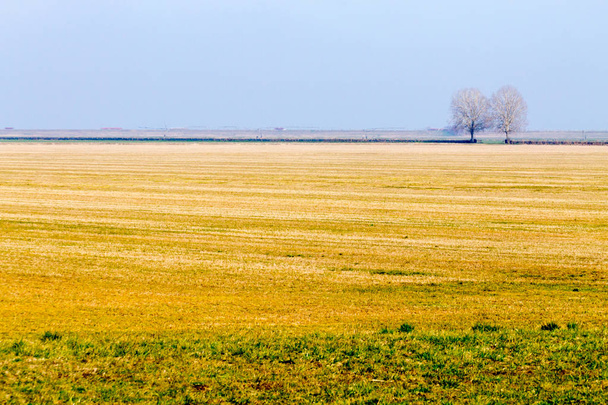 Paysage rural italien depuis la lagune de la rivière Po
. - Photo, image