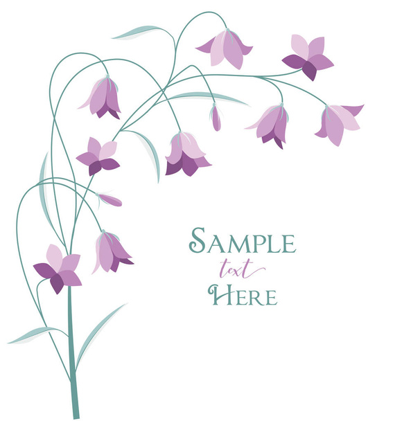 Καλοκαιρινό λουλούδι campanula - Διάνυσμα, εικόνα