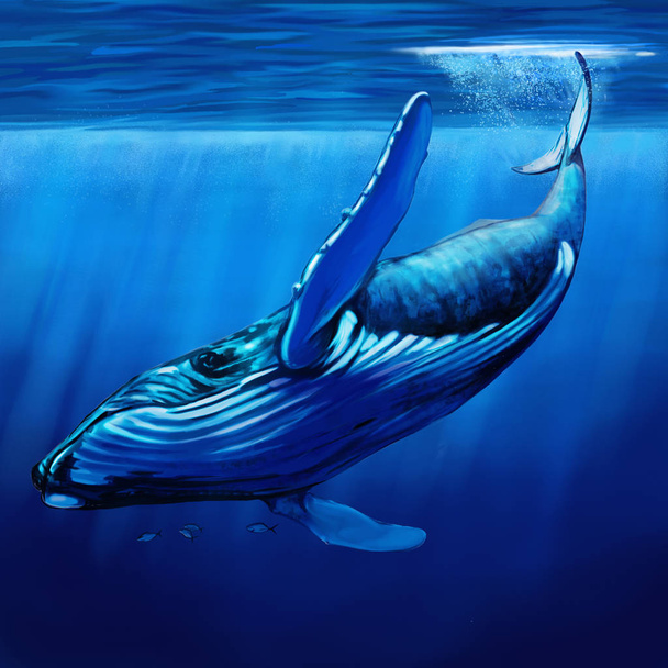 Blue Whale Diving - Фото, зображення